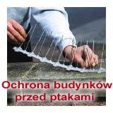 Ochrona budynkw przed ptakami